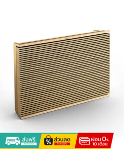 B&O ลำโพงเชื่อมต่อไร้สาย